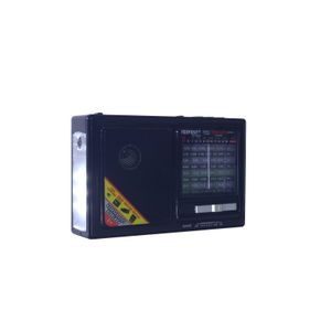 Portable Bluetooth Radio, Supports Am/fm/sw, Built-in Rechargeable Battery, Emergency Led Flashlight